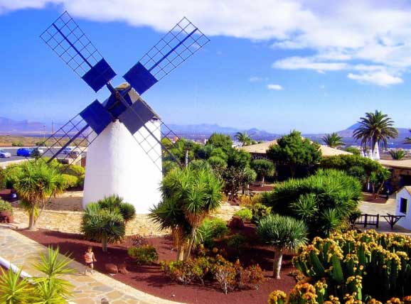 Informationen zu Fuerteventura, Urlaub und Reisen