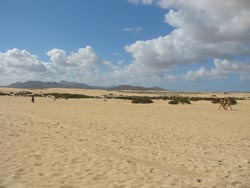 Der Strand von Corralejo